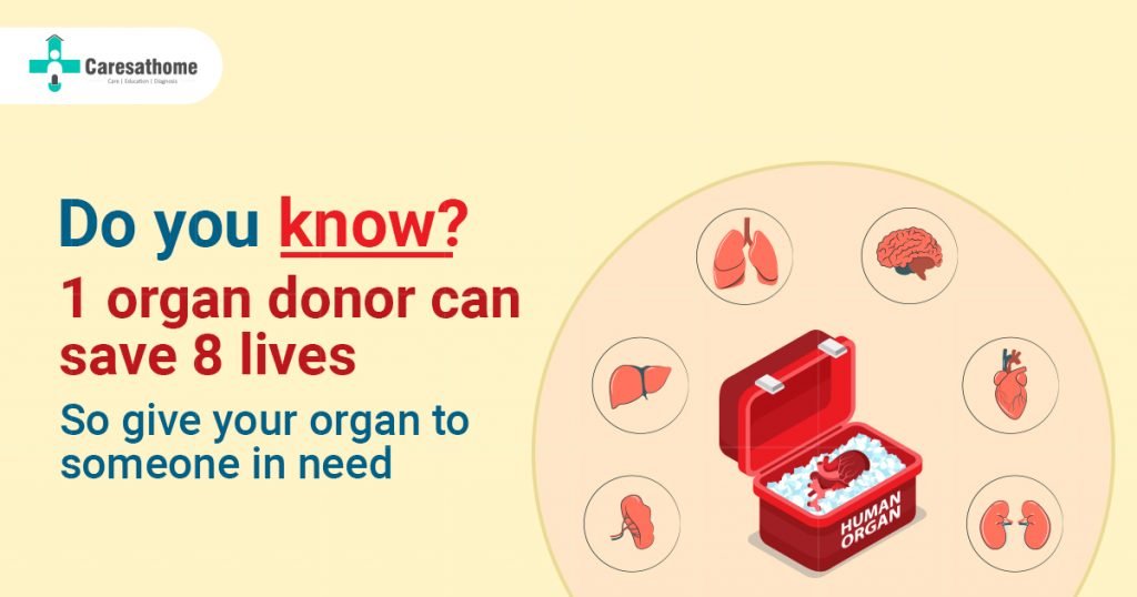 One Organ Donor’s Gift Can Transform Eight Lives